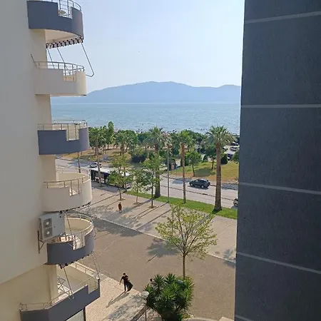 Kevin's Vlore